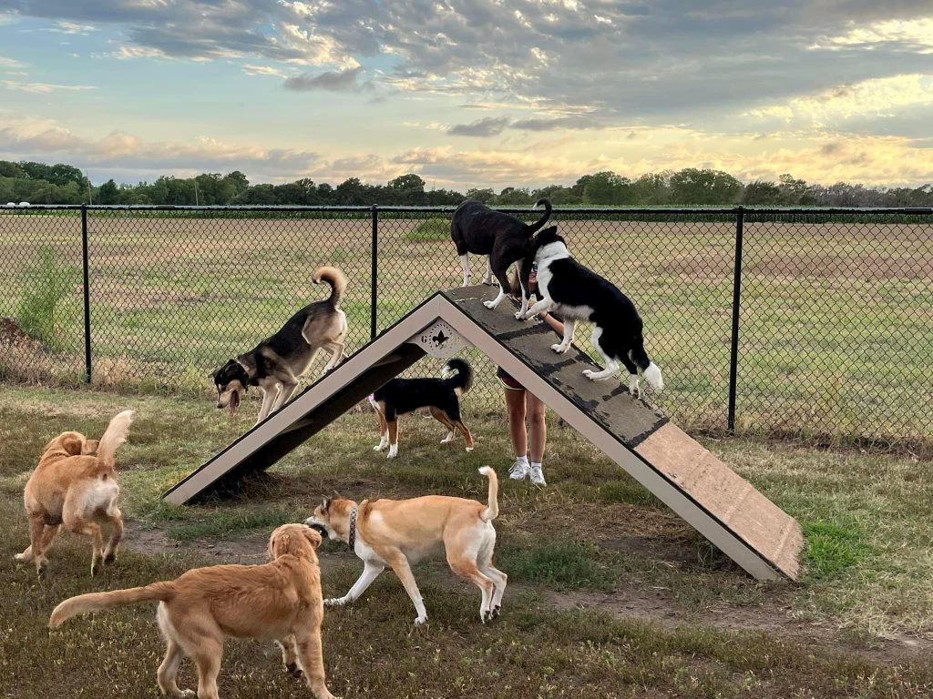 Dog Park Hutchinson KS Humane Society Hutchinson KS